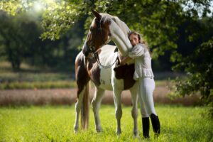 Cuidados básicos caballos