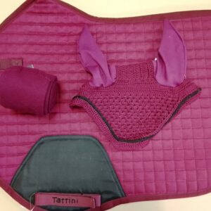 Conjunto Sudadero burdeos tattini