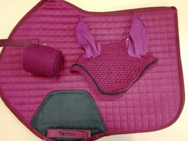 Conjunto Sudadero burdeos tattini