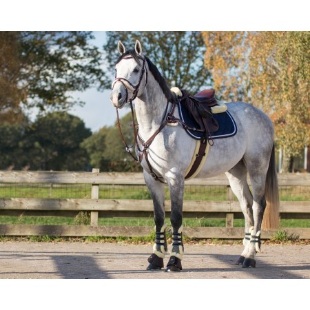 Pechopetral 5 puntos ontario QHP talla full - Imagen 5